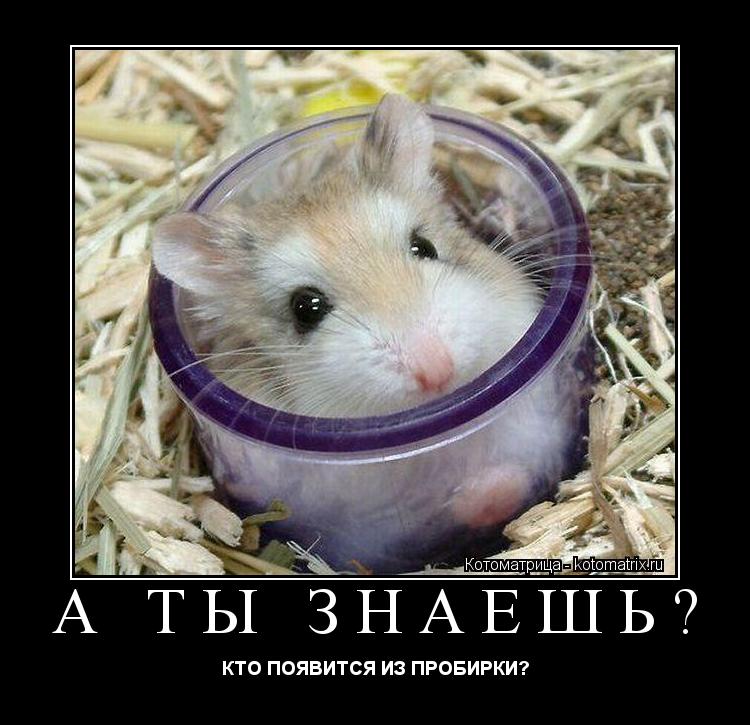 А ТЫ ЗНАЕШЬ? КТО ПОЯВИТСЯ ИЗ ПРОБИРКИ?... Котоматрица: А ТЫ ЗНАЕШЬ? КТО ПОЯВИТСЯ ИЗ ПРОБИРКИ?