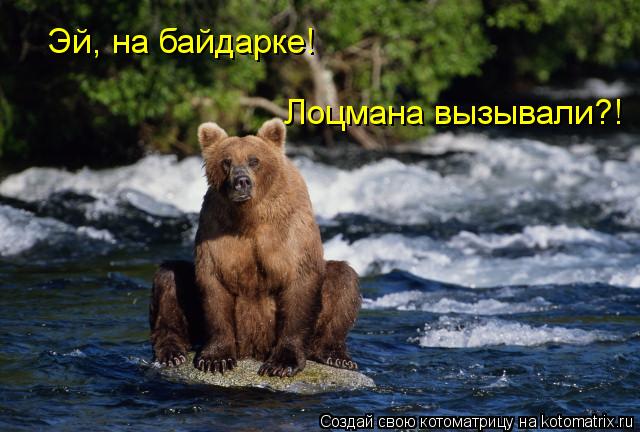 Эй, на байдарке! Лоцмана вызывали?!... Котоматрица: Эй, на байдарке! Лоцмана вызывали?!