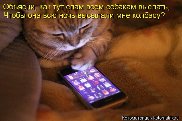 Объясни, как тут спам всем собакам выслать, Чтобы она всю ночь высылали мне колбасу?... Котоматрица: Объясни, как тут спам всем собакам выслать, Чтобы она всю ночь высылали мне колбасу?