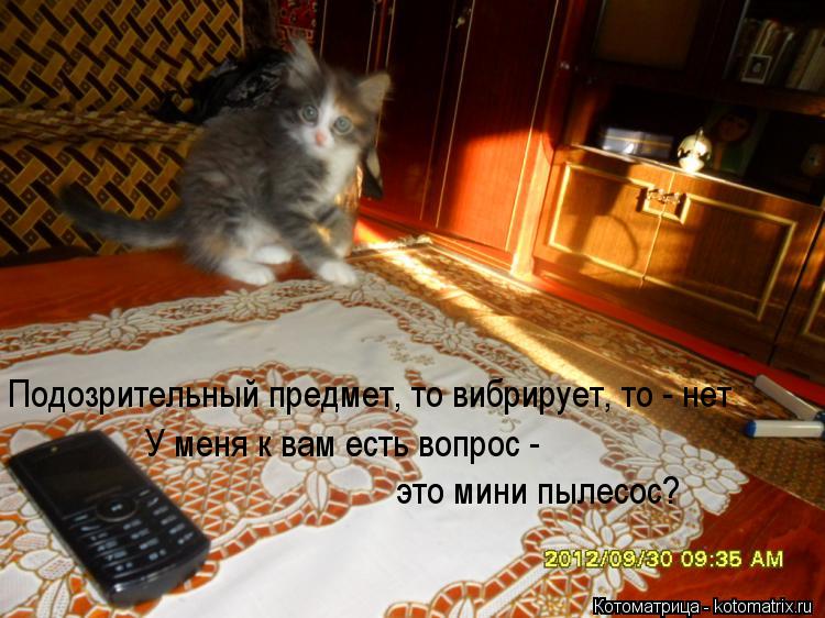 Подозрительный предмет, то вибрирует, то - нет У меня к вам есть вопрос - это мини пылесос?... Котоматрица: Подозрительный предмет, то вибрирует, то - нет У меня к вам есть вопрос - это мини пылесос?