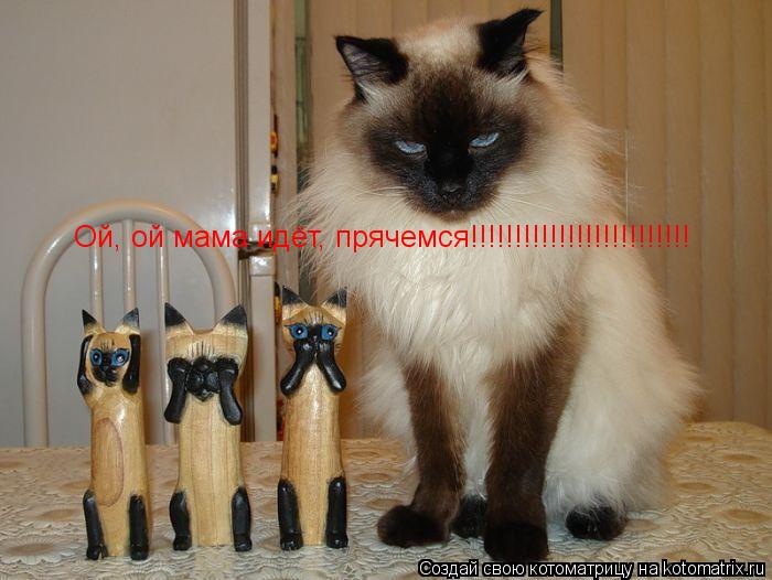 Ой, ой мама идёт, прячемся!!!!!!!!!!!!!!!!!!!!!!!!!... Котоматрица: Ой, ой мама идёт, прячемся!!!!!!!!!!!!!!!!!!!!!!!!!