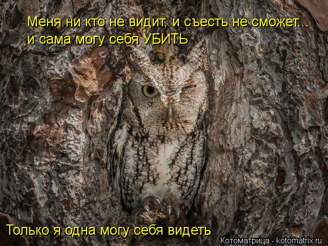 Меня ни кто не видит, и съесть не сможет... Только я одна могу себя видеть и сама могу себя УБИТЬ... Котоматрица: Меня ни кто не видит, и съесть не сможет... Только я одна могу себя видеть и сама могу себя УБИТЬ