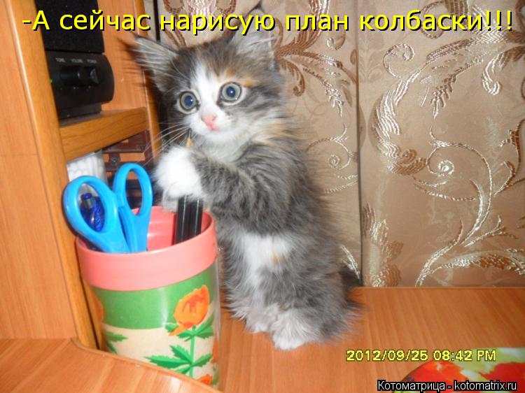 -А сейчас нарисую план колбаски!!! -А сейчас нарисую план колбаски!!!... Котоматрица: -А сейчас нарисую план колбаски!!! -А сейчас нарисую план колбаски!!!