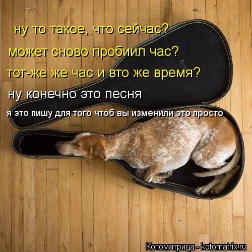 ну то такое, что сейчас? может сново пробиил час? тот-же же час и вто же время? ну конечно это песня ... Котоматрица: ну то такое, что сейчас? может сново пробиил час? тот-же же час и вто же время? ну конечно это песня я это пишу для того чтоб вы изменили это пр