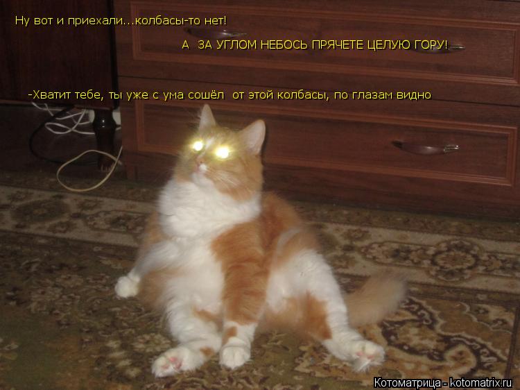 Ну вот и приехали...колбасы-то нет! А ЗА УГЛОМ НЕБОСЬ ПРЯЧЕТЕ ЦЕЛУЮ ГОРУ! -Хватит тебе, ты уже с... Котоматрица: Ну вот и приехали...колбасы-то нет! А ЗА УГЛОМ НЕБОСЬ ПРЯЧЕТЕ ЦЕЛУЮ ГОРУ! -Хватит тебе, ты уже с ума сошёл от этой колбасы, по глазам видно