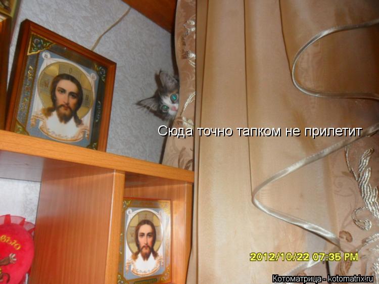 Сюда точно тапком не прилетит... Котоматрица: Сюда точно тапком не прилетит