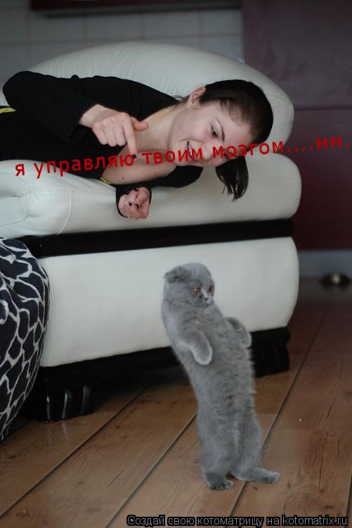 я управляю твоим мозгом....мм.... Котоматрица: я управляю твоим мозгом....мм.