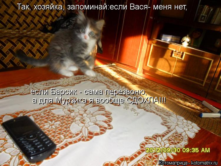 Так, хозяйка, запоминай:если Вася- меня нет, если Барсик - сама перезвоню, а для Мурзика я вообще СД... Котоматрица: Так, хозяйка, запоминай:если Вася- меня нет, если Барсик - сама перезвоню, а для Мурзика я вообще СДОХЛА!!!
