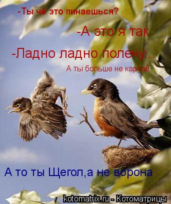 -Ты чё это пинаешься? -А это я так -Ладно ладно полечу... А ты больше не каркай, А то ты Щегол,а не в... Котоматрица: -Ты чё это пинаешься? -А это я так -Ладно ладно полечу... А ты больше не каркай, А то ты Щегол,а не ворона