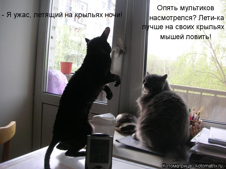 - Я ужас, летящий на крыльях ночи! Опять мультиков насмотрелся? Лети-ка лучше на своих крыльях мышей ... Котоматрица: - Я ужас, летящий на крыльях ночи! Опять мультиков насмотрелся? Лети-ка лучше на своих крыльях мышей ловить!