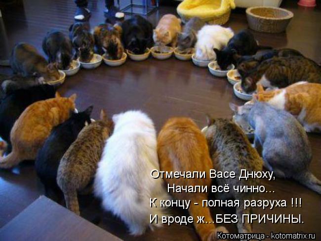 Отмечали Васе Днюху, Начали всё чинно... К концу - полная разруха !!! И вроде ж...БЕЗ ПРИЧИНЫ.... Котоматрица: Отмечали Васе Днюху, Начали всё чинно... К концу - полная разруха !!! И вроде ж...БЕЗ ПРИЧИНЫ.