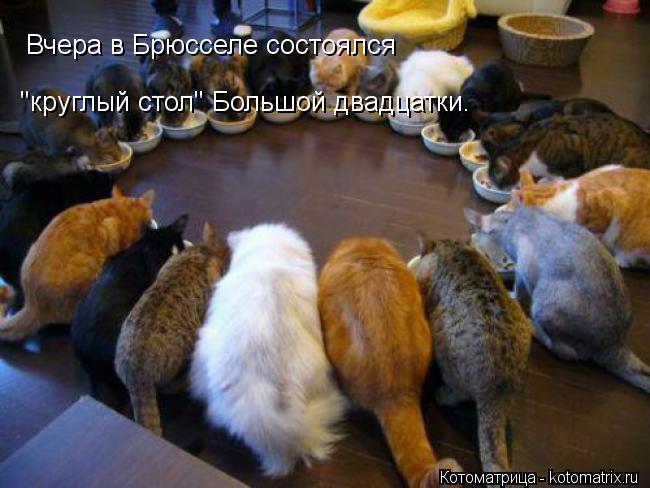 Вчера в Брюсселе состоялся "круглый стол" Большой двадцатки.... Котоматрица: Вчера в Брюсселе состоялся "круглый стол" Большой двадцатки.