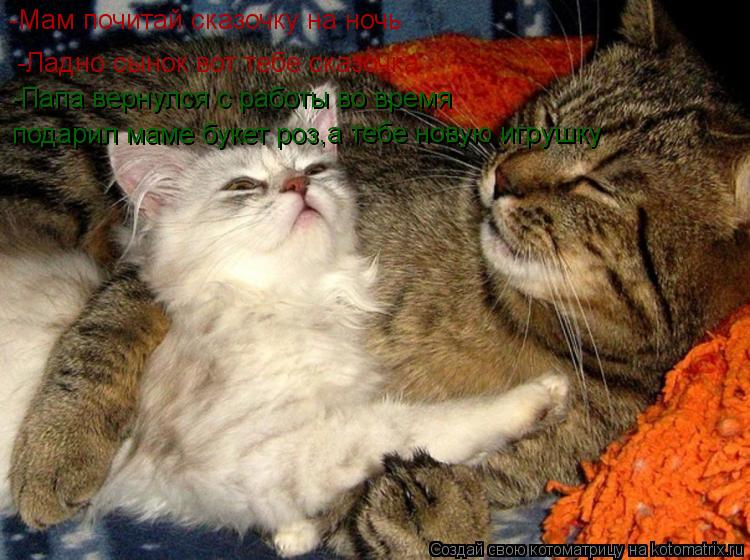 Котоматрица: -Мам почитай сказочку на ночь -Ладно сынок вот тебе сказочка -Папа вернулся с работы во время подарил маме букет роз ,а тебе новую игрушку