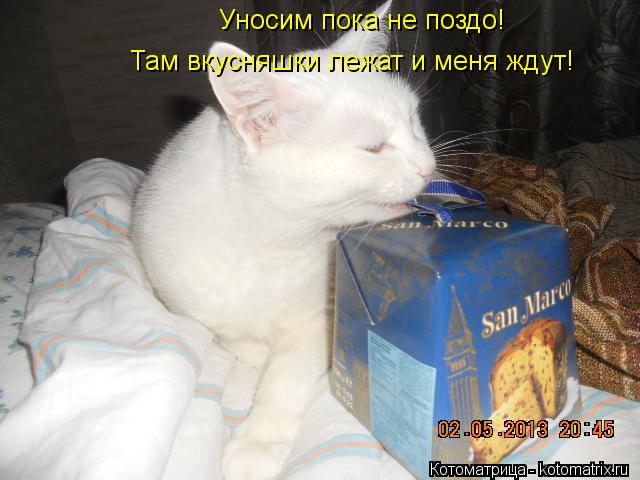 Котоматрица: Уносим пока не поздо! Там вкусняшки лежат и меня ждут!