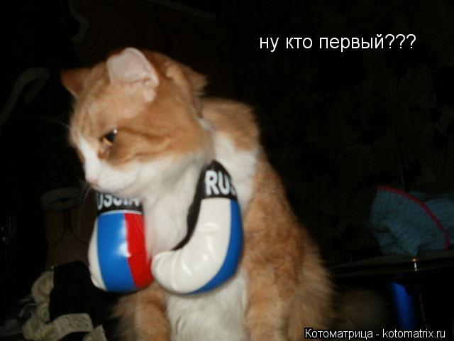 Котоматрица: ну кто первый???
