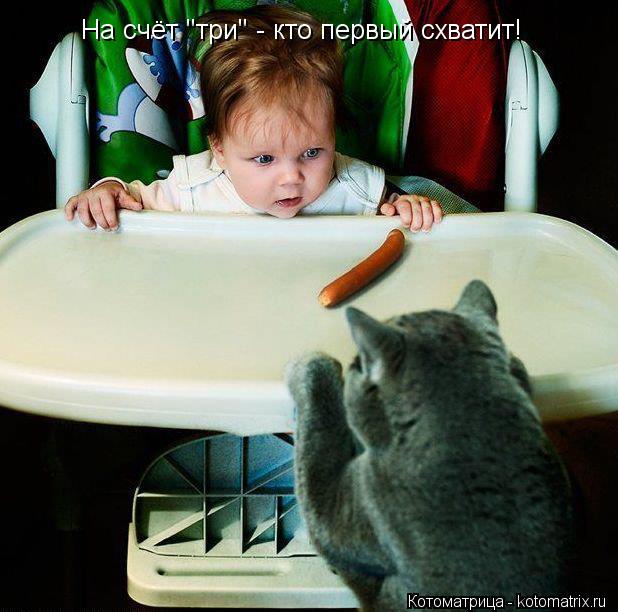На счёт "три" - кто первый схватит!... Котоматрица: На счёт "три" - кто первый схватит!
