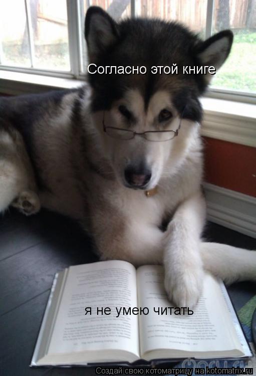 Согласно этой книге Согласно этой книге я не умею читать... Котоматрица: Согласно этой книге Согласно этой книге я не умею читать