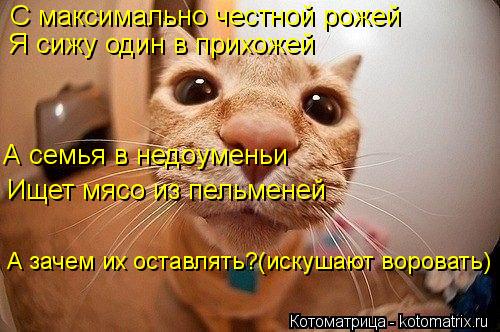 С максимально честной рожей Я сижу один в прихожей Ищет мясо из пельменей А семья в недоуменьи А зач... Котоматрица: С максимально честной рожей Я сижу один в прихожей Ищет мясо из пельменей А семья в недоуменьи А зачем их оставлять?(искушают воровать)