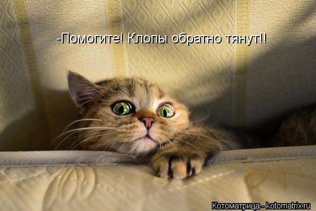 -Помогите! Клопы обратно тянут!!... Котоматрица: -Помогите! Клопы обратно тянут!!
