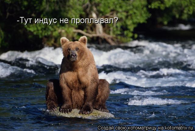 -Тут индус не проплывал? -Тут индус не проплывал?... Котоматрица: -Тут индус не проплывал? -Тут индус не проплывал?