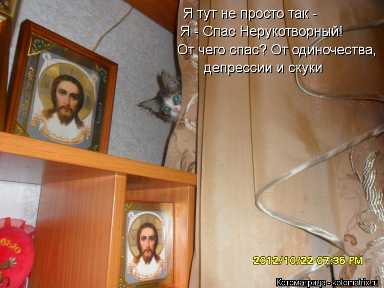Я тут не просто так - Я - Спас Нерукотворный! От чего спас? От одиночества, депрессии и скуки... Котоматрица: Я тут не просто так - Я - Спас Нерукотворный! От чего спас? От одиночества, депрессии и скуки