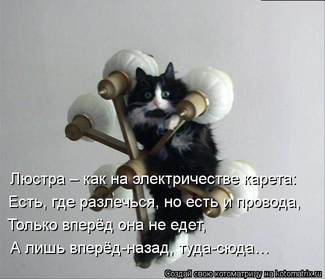 Люстра – как на электричестве карета: Есть, где разлечься, но есть и провода, Только вперёд она не ед... Котоматрица: Люстра – как на электричестве карета: Есть, где разлечься, но есть и провода, Только вперёд она не едет, А лишь вперёд-назад, туда-сюда…