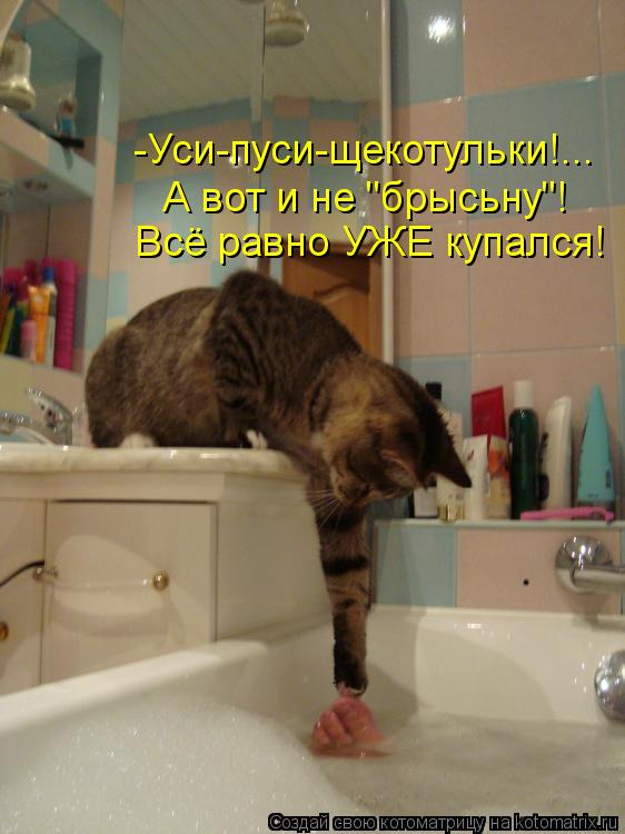 -Уси-пуси-щекотульки!... А вот и не "брысьну"! Всё равно УЖЕ купался!... Котоматрица: -Уси-пуси-щекотульки!... А вот и не "брысьну"! Всё равно УЖЕ купался!