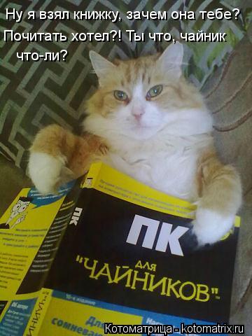 Ну я взял книжку, зачем она тебе? Почитать хотел?! Ты что, чайник что-ли?... Котоматрица: Ну я взял книжку, зачем она тебе? Почитать хотел?! Ты что, чайник что-ли?