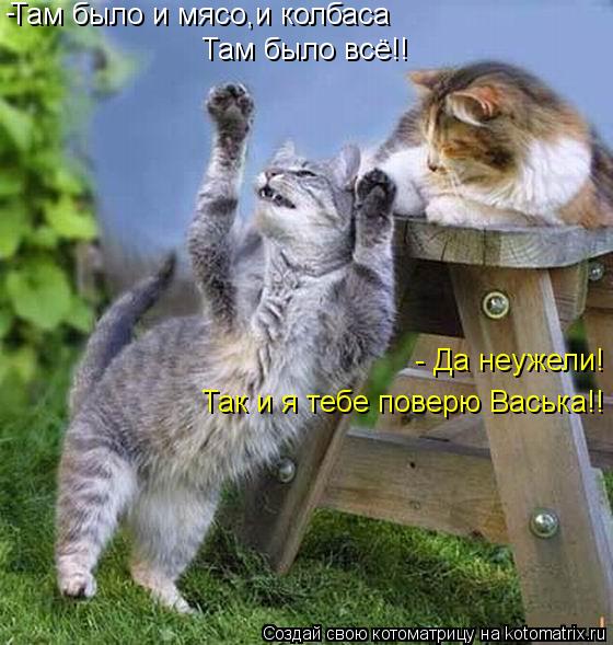 Там было и мясо,и колбаса Там было всё!! - - Да неужели! Так и я тебе поверю Васька!!... Котоматрица: Там было и мясо,и колбаса Там было всё!! - - Да неужели! Так и я тебе поверю Васька!!