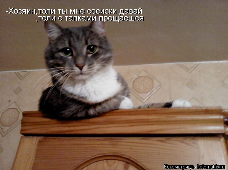 Котоматрица: -Хозяин,толи ты мне сосиски давай  ,толи с тапками прощаешся