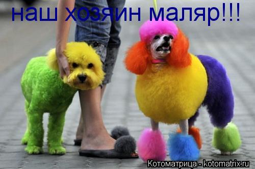 наш хозяин маляр!!!... Котоматрица: наш хозяин маляр!!!