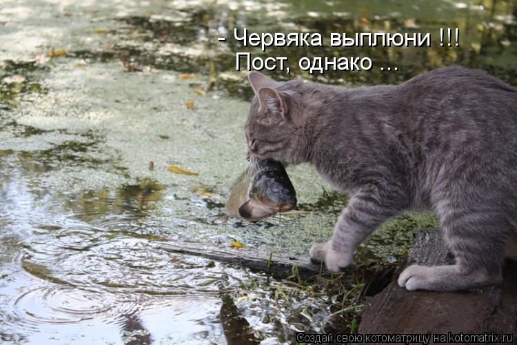 - Червяка выплюни !!! Пост, однако ...... Котоматрица: - Червяка выплюни !!! Пост, однако ...