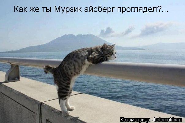 Как же ты Мурзик айсберг проглядел?...... Котоматрица: Как же ты Мурзик айсберг проглядел?...