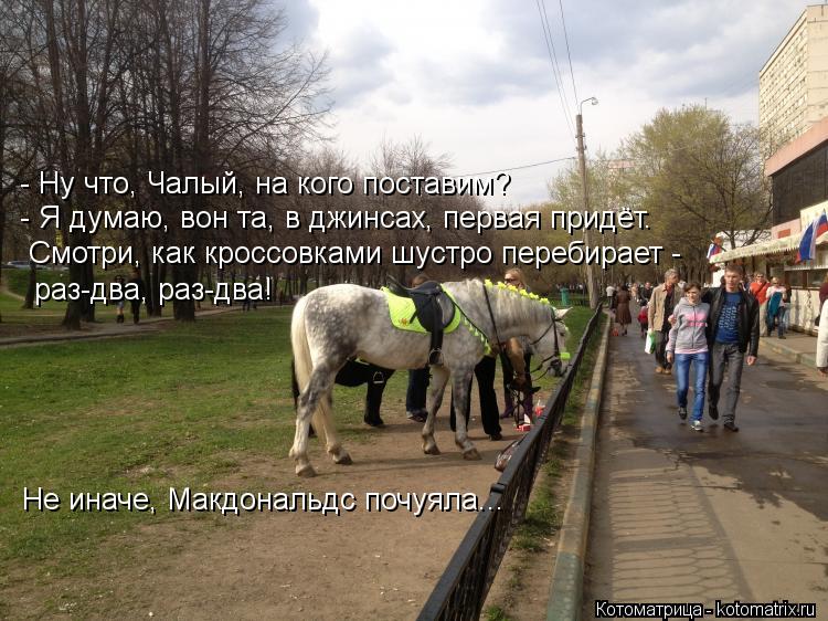 - Ну что, Чалый, на кого поставим? - Я думаю, вон та, в джинсах, первая придёт. Смотри, как кроссовка... Котоматрица: - Ну что, Чалый, на кого поставим? - Я думаю, вон та, в джинсах, первая придёт. Смотри, как кроссовками шустро перебирает - раз-два, раз-два! Не ин