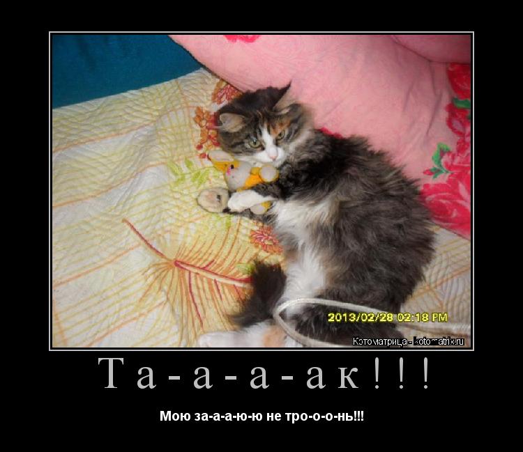 Та-а-а-ак!!! Мою за-а-а-ю-ю не тро-о-о-нь!!!... Котоматрица: Та-а-а-ак!!! Мою за-а-а-ю-ю не тро-о-о-нь!!!