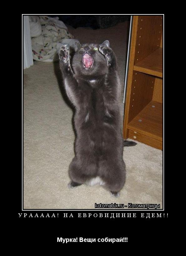Котоматрица: УРААААА! НА ЕВРОВИДИНИЕ ЕДЕМ!! Мурка! Вещи собирай!!! 