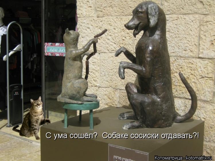 Котоматрица: С ума сошёл?  Собаке сосиски отдавать?!