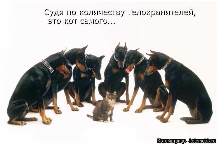 Котоматрица: Судя по количеству телохранителей,  это кот самого...
