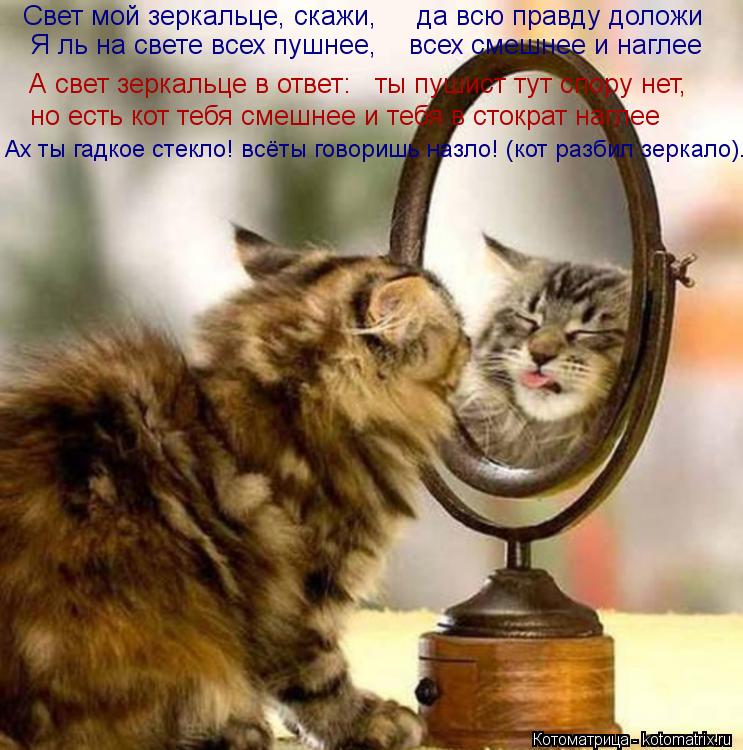 Свет мой зеркальце, скажи.. (Прокофьев Андрей) / lys-cosmetics.ru