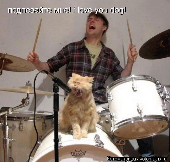 подпевайте мне!:i love you dog! подпевайте мне!:i love you dog!... Котоматрица: подпевайте мне!:i love you dog! подпевайте мне!:i love you dog!
