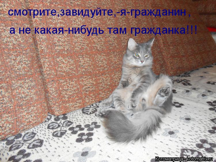 смотрите,завидуйте,-я-гражданин , а не какая-нибудь там гражданка!!!... Котоматрица: смотрите,завидуйте,-я-гражданин , а не какая-нибудь там гражданка!!!