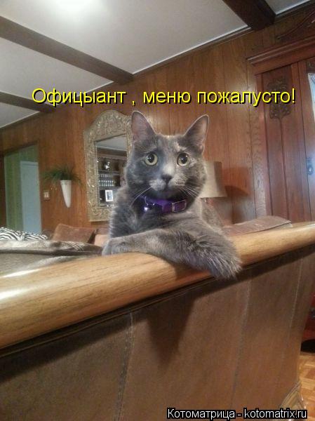 Офицыант , меню пожалусто!... Котоматрица: Офицыант , меню пожалусто!