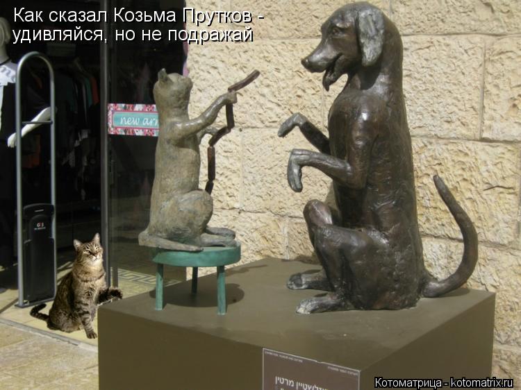 Котоматрица: Как сказал Козьма Прутков -  удивляйся, но не подражай