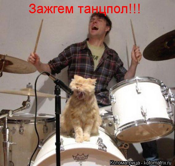 Зажгем танцпол!!!... Котоматрица: Зажгем танцпол!!!
