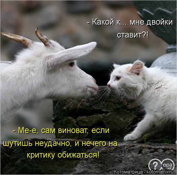 Котоматрица: ставит?! - Какой к... мне двойки - Ме-е, сам виноват, если шутишь неудачно, и нечего на критику обижаться!