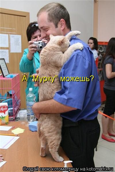 Котоматрица: А "Мурку" можешь?
