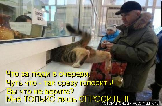 Что за люди в очереди, Чуть что - так сразу голосить! Вы что не верите? Мне ТОЛЬКО лишь СПРОСИТЬ!!!... Котоматрица: Что за люди в очереди, Чуть что - так сразу голосить! Вы что не верите? Мне ТОЛЬКО лишь СПРОСИТЬ!!!