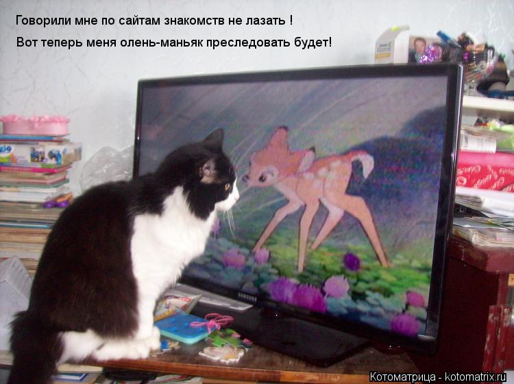 Говорили мне по сайтам знакомств не лазать ! Вот теперь меня олень-маньяк преследовать будет!... Котоматрица: Говорили мне по сайтам знакомств не лазать ! Вот теперь меня олень-маньяк преследовать будет!