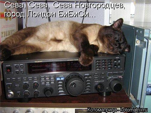 Сева, Сева, Сева Новгородцев, город Лондон БиБиСи...... Котоматрица: Сева, Сева, Сева Новгородцев, город Лондон БиБиСи...