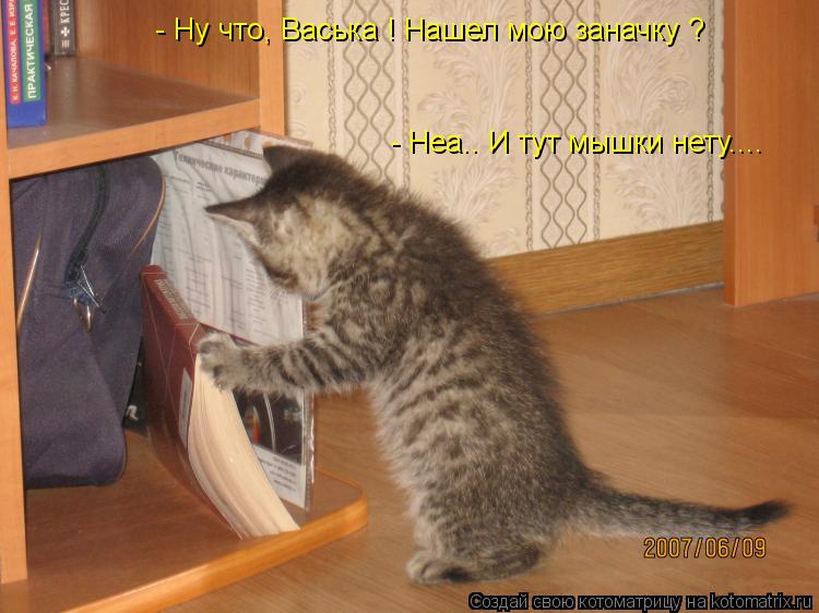 - Ну что, Васька ! Нашел мою заначку ? - Неа.. И тут мышки нету....... Котоматрица: - Ну что, Васька ! Нашел мою заначку ? - Неа.. И тут мышки нету....